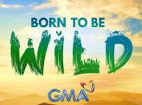 Born To Be Wild February 23 2025